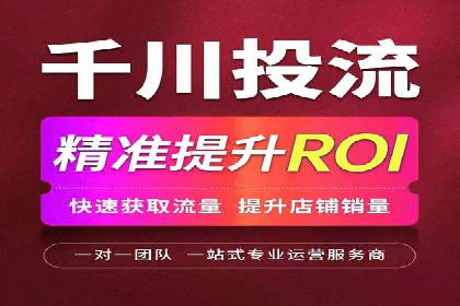 SEM运营中的数据分析和优化案例研究